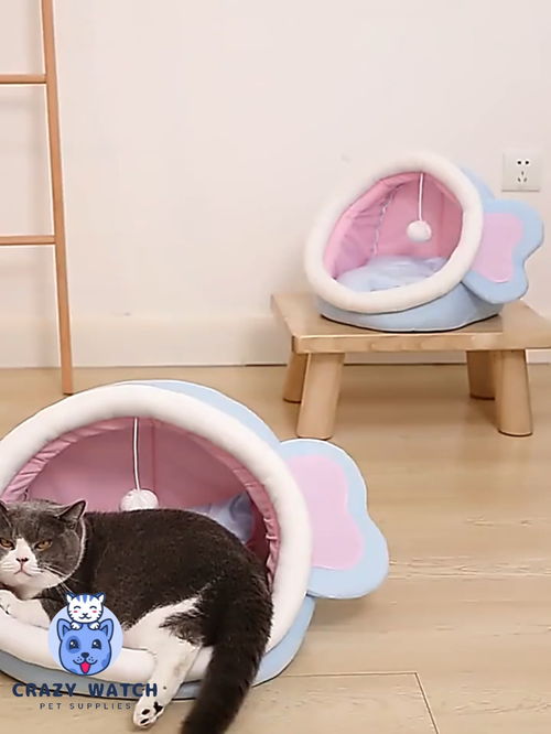 寵物用品超級可愛窩窩朋友們好呀 希望能給你們帶去一份好心情 一切 都越來越好吧